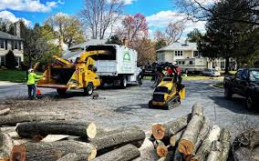 Best Tree Disease Treatment  in Prosser, WA