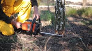 Best Seasonal Cleanup (Spring/Fall)  in Prosser, WA