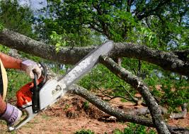 Best Lawn Grading and Leveling  in Prosser, WA