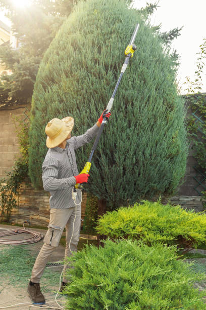 Best Sod Installation  in Prosser, WA